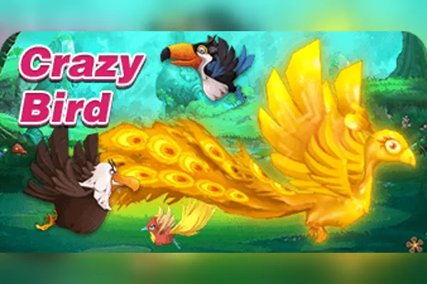 Crazy Bird